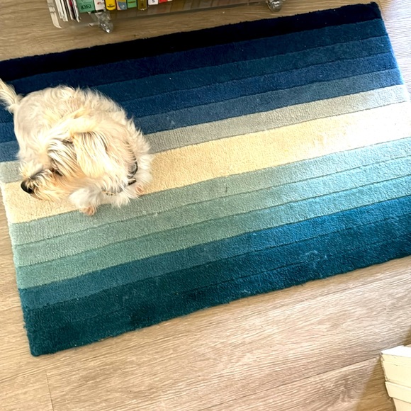 LAST ONE 🔥Blue Ombre Stripe Maximus Rug - Picture 10 of 11